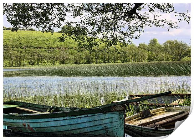 Boats at Rest Print by julie williams