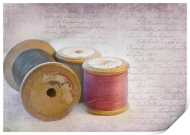 Bobbins Print by julie williams