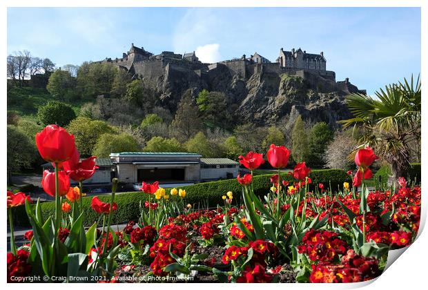Edinburgh Castle Spring Print by Craig Brown