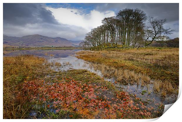 Autumn leaves, Loch Awe Print by Gary Eason