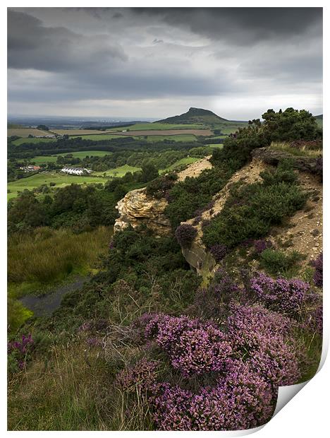 Roseberry Topping and Heather, Cleveland Hills Print by Gary Eason