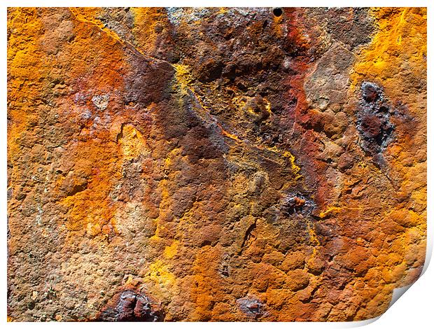 Rust Print by Gary Eason