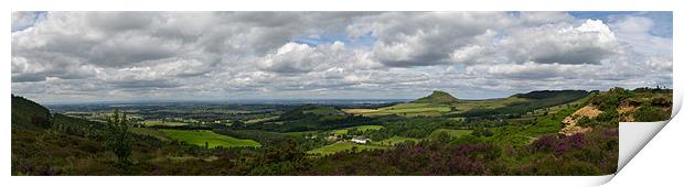 Tees plain and Roseberry Topping Print by Gary Eason