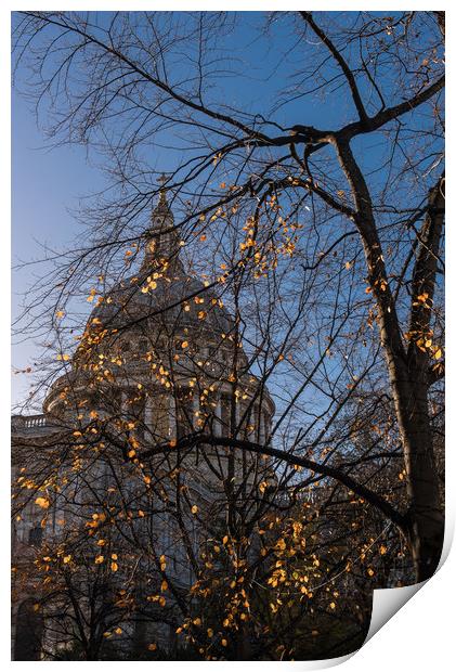 Autumn leaves at St Paul's Cathedral London vertic Print by Gary Eason