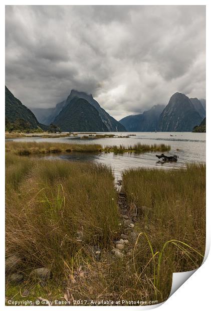 Low cloud in Milford Sound Print by Gary Eason