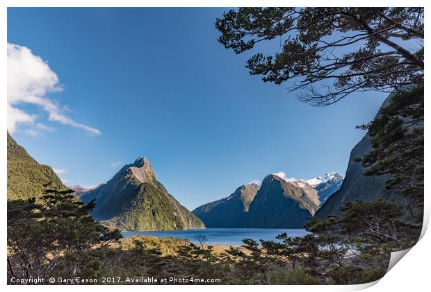 Milford Sound overlook Print by Gary Eason