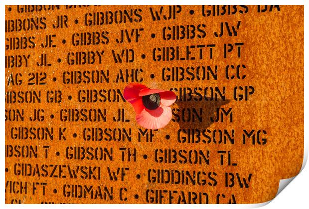 IBCC wall of names and poppy Print by Gary Eason