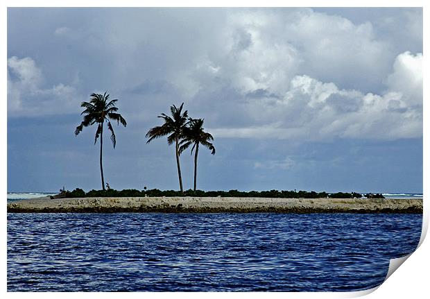 small island Print by Hassan Najmy