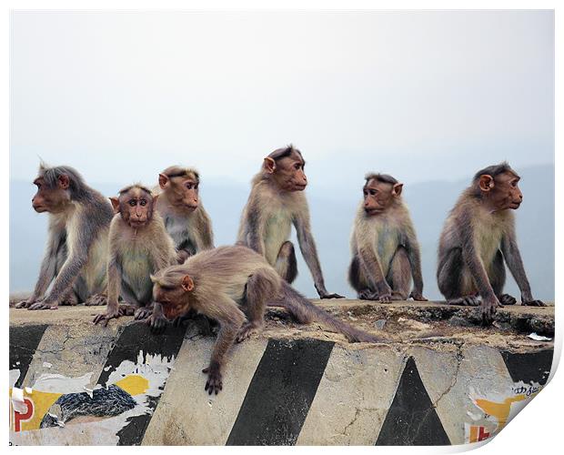monkey group Print by Hassan Najmy