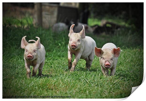 Three little pigs Print by michelle rook