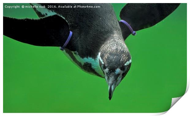 penguin underwater Print by michelle rook