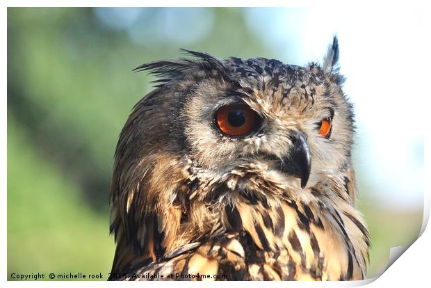 Eagle Owl 1 Print by michelle rook