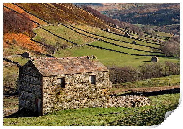 Swaledale Barns Print by Neil Young