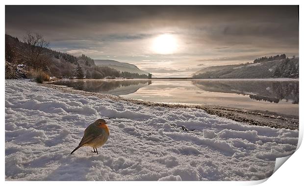 Llwyn Onn winter landscape Print by Creative Photography Wales