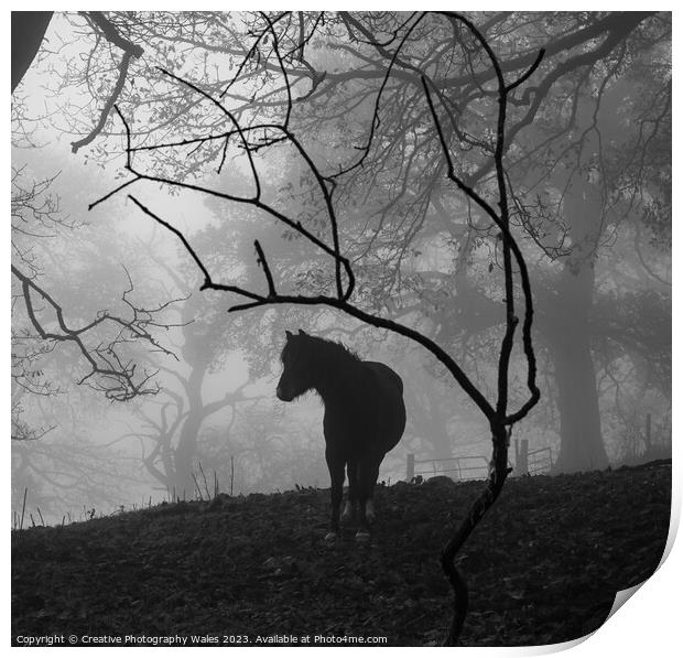 Pony in the Mist Print by Creative Photography Wales