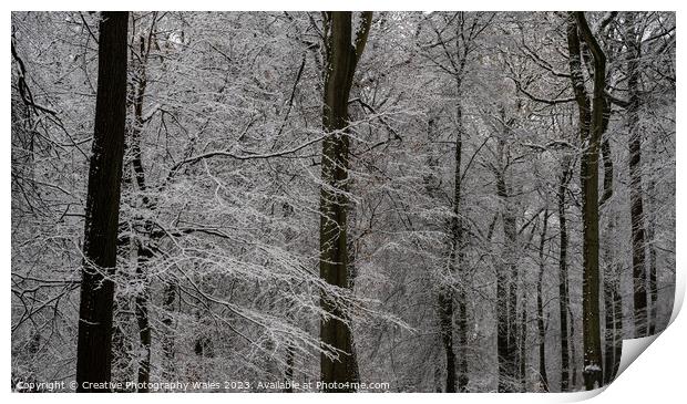 Forest of Dean Winter Landscape Print by Creative Photography Wales