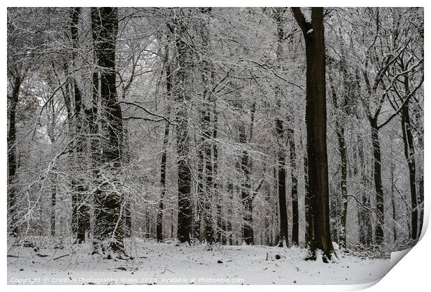 Forest of Dean Winter Landscape Print by Creative Photography Wales