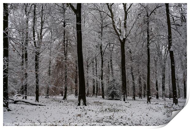 Forest of Dean Winter Landscape Print by Creative Photography Wales