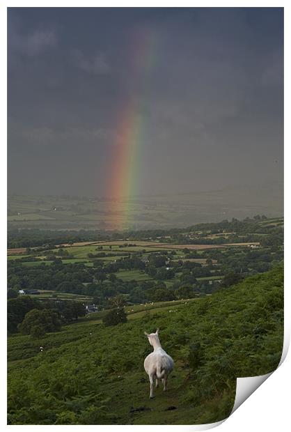 Watching the rainbow Print by Creative Photography Wales