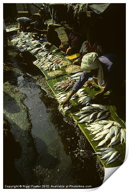 The Fish Market Jakarta Print by Creative Photography Wales