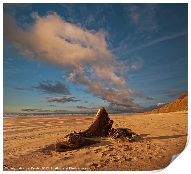 Driftwood at Rhossili Print by Creative Photography Wales