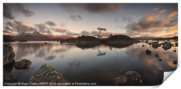 The lost Rowan Print by Creative Photography Wales