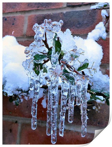 icicles Print by Raymond Partlett