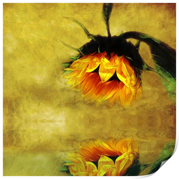 Sunflower- A Reflection of a Summer Day Print by Debra Kelday