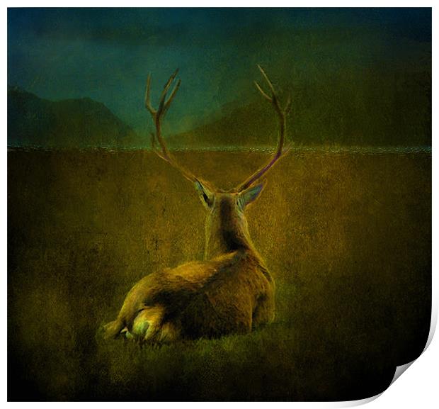 Deer Print by Debra Kelday
