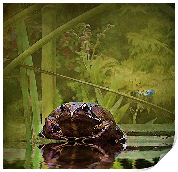 Toad 1 Print by Debra Kelday