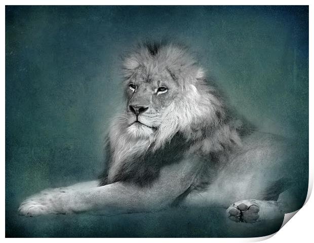 Lion (bw) Print by Debra Kelday