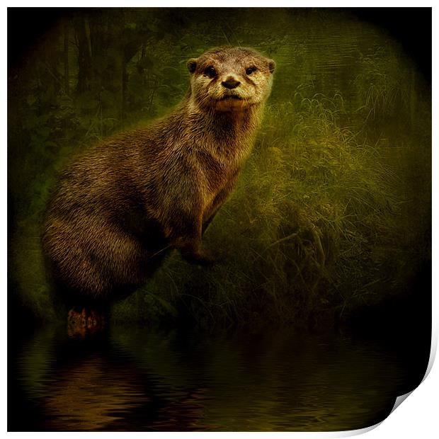 Otter Watch Print by Debra Kelday