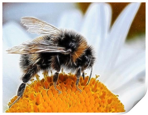  Bumblebee Print by Debra Kelday