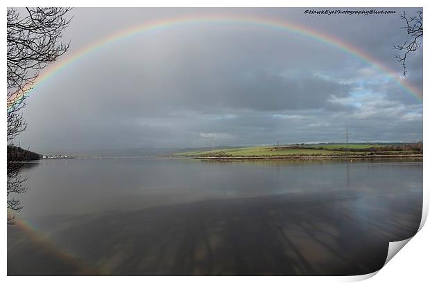 Rainbow Print by Nigel Barrett Canvas