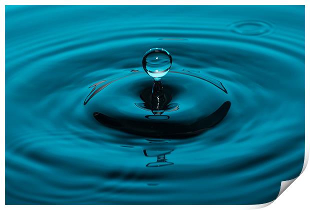 Water Drop Print by Paul Shears Photogr