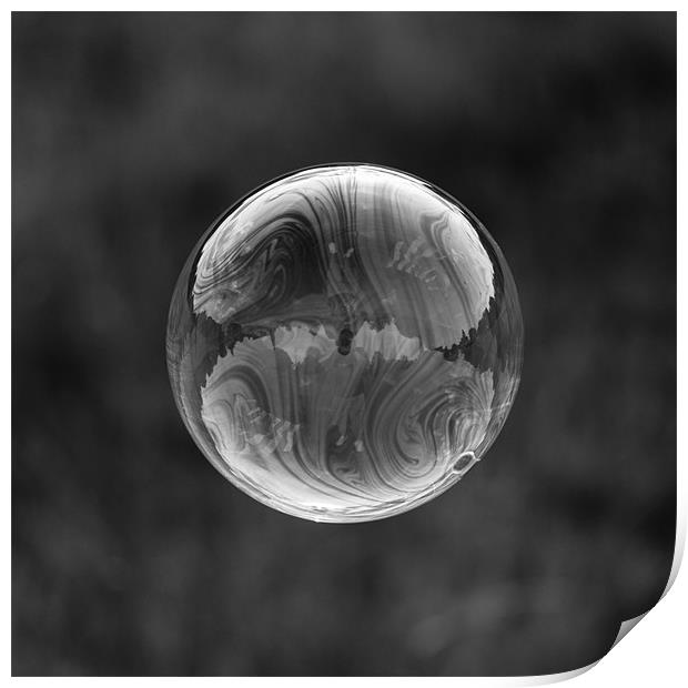 Bubble Reflection Print by Paul Shears Photogr