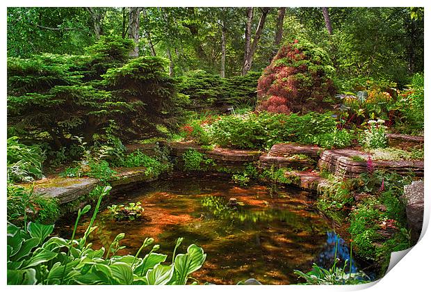  Garden Pond   Print by Jonah Anderson Photography