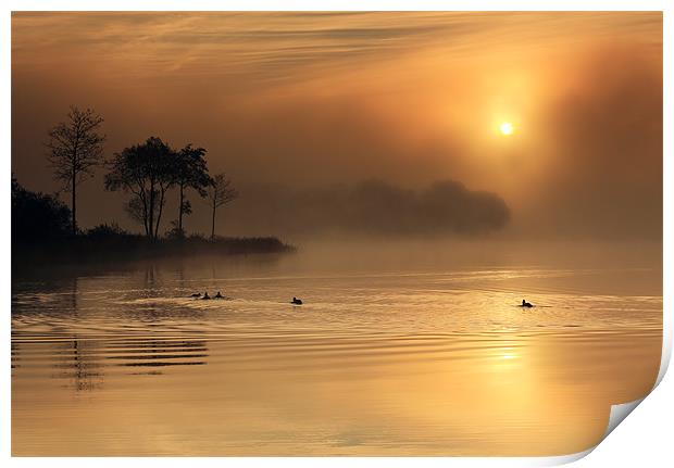 Loch Ard morning glow Print by Grant Glendinning