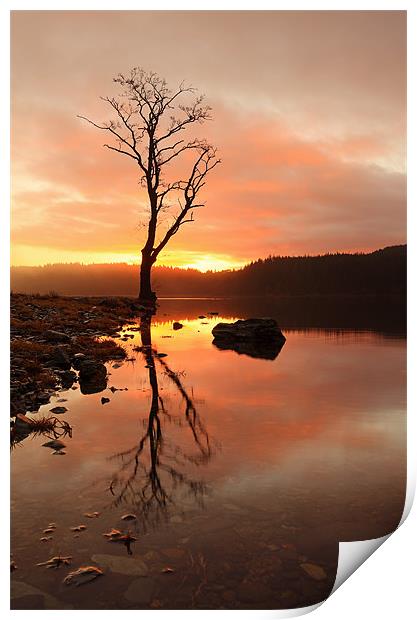 Loch Ard Sunrise Print by Grant Glendinning