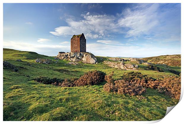 Smailholm Tower Print by Grant Glendinning