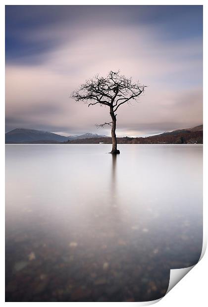 Loch Lomond Tree Print by Grant Glendinning