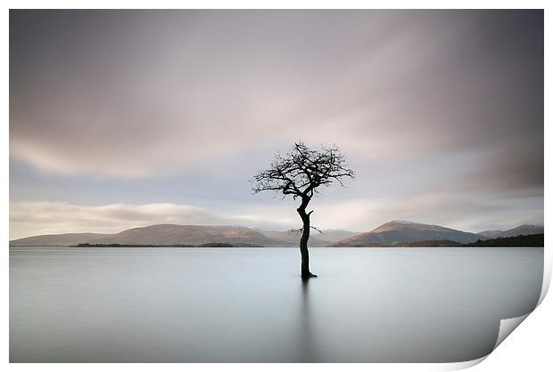 Loch Lomond Tree Print by Grant Glendinning