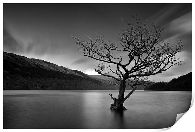  Loch Tree Print by Grant Glendinning