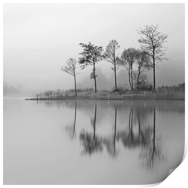 Fine Trees from the misty shore of Loch Ard Print by Grant Glendinning