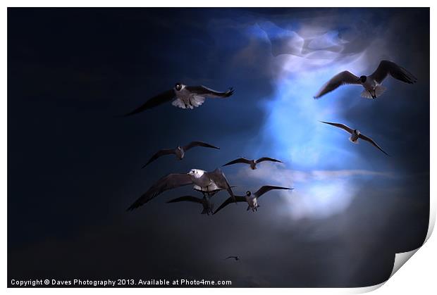 From The Heavens Print by Daves Photography