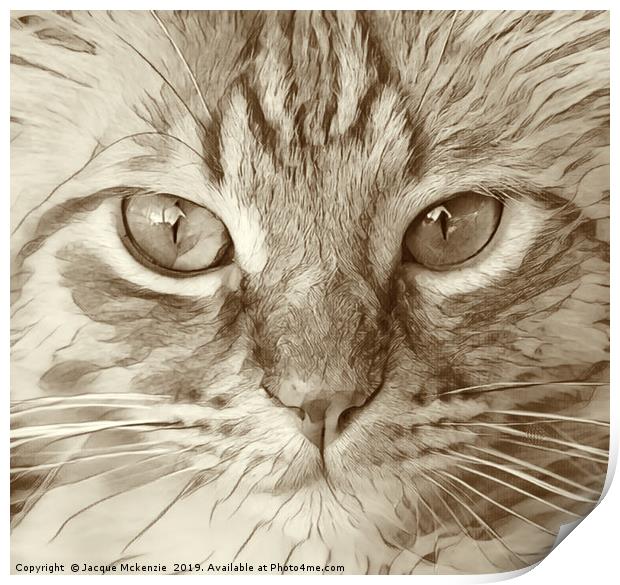 KIT CAT Print by Jacque Mckenzie
