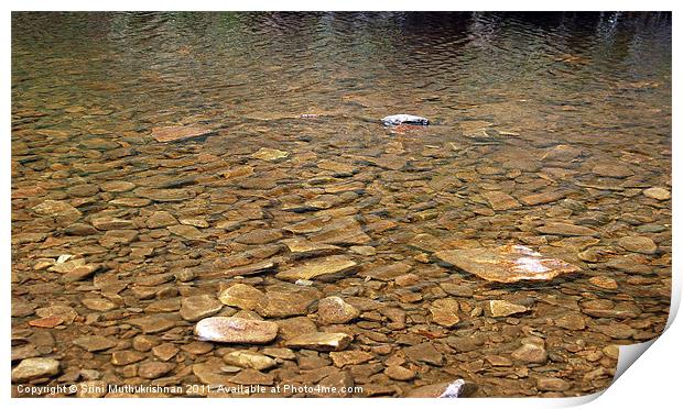 water stream over shining stones Print by Wood Stocker