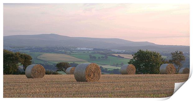 harvest time sunset Print by Images of Devon