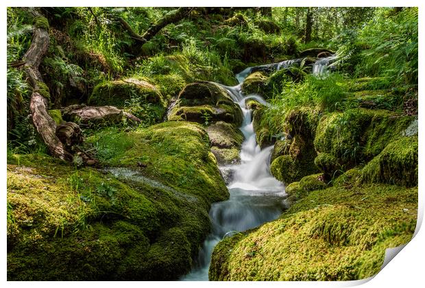 Dartmoor's little secret Print by Images of Devon