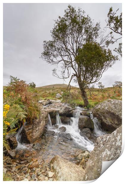 River Lyd, Dartmoor National Park Print by Images of Devon